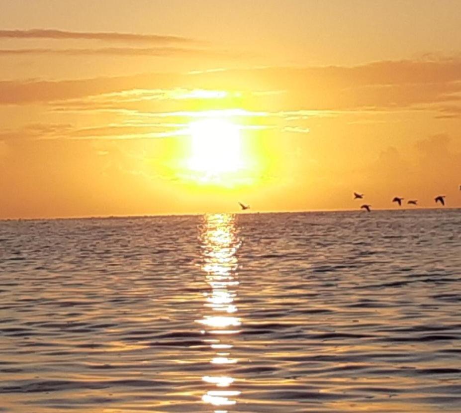 Waddenfestijn Villa Paesens Kültér fotó